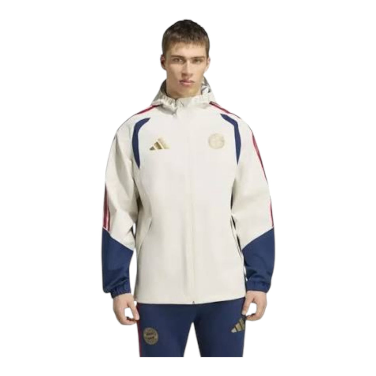 ADIDAS Giubbino  FC Bayern Antivento Beige - Giubbotto - adidas