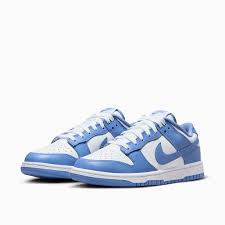 Nike Dunk Polar Blu - Scarpe - Nike